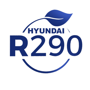 R290